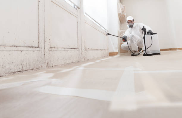 24/7 Emergency Mold Cleanup experts in Westmont, IL